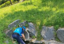 수원시, ‘모기없는 마을’수원 전역으로 확대