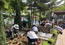 수원시, 시민과 함께 광교카페거리 마을정원 조성