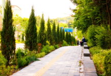 수원시, 테마형 가로수길, 아름다운 도시숲, 건강한 맨발걷기 등 걷기 좋은 길 소개