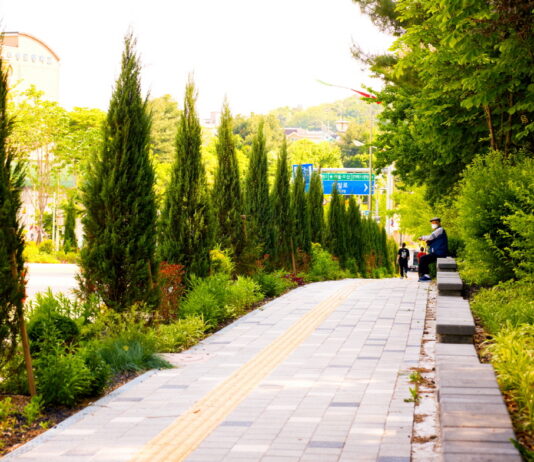수원시, 테마형 가로수길, 아름다운 도시숲, 건강한 맨발걷기 등 걷기 좋은 길 소개