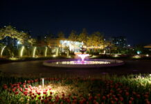 5월 수원수목원 야간 운영 ‘밤빛 정원’에 1만 3000여 명 찾아