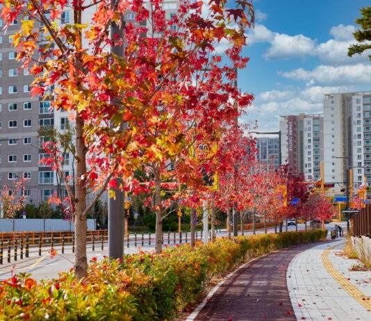 가을빛 물든 수원으로 단풍 구경 오세요!