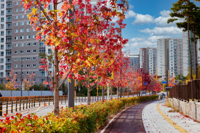 4.가을빛물든수원으로단풍구경오세요!